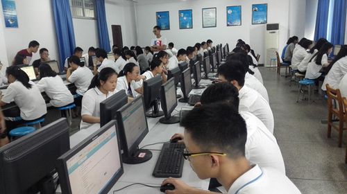 高中信息技术学业水平考试网络技术应用试题